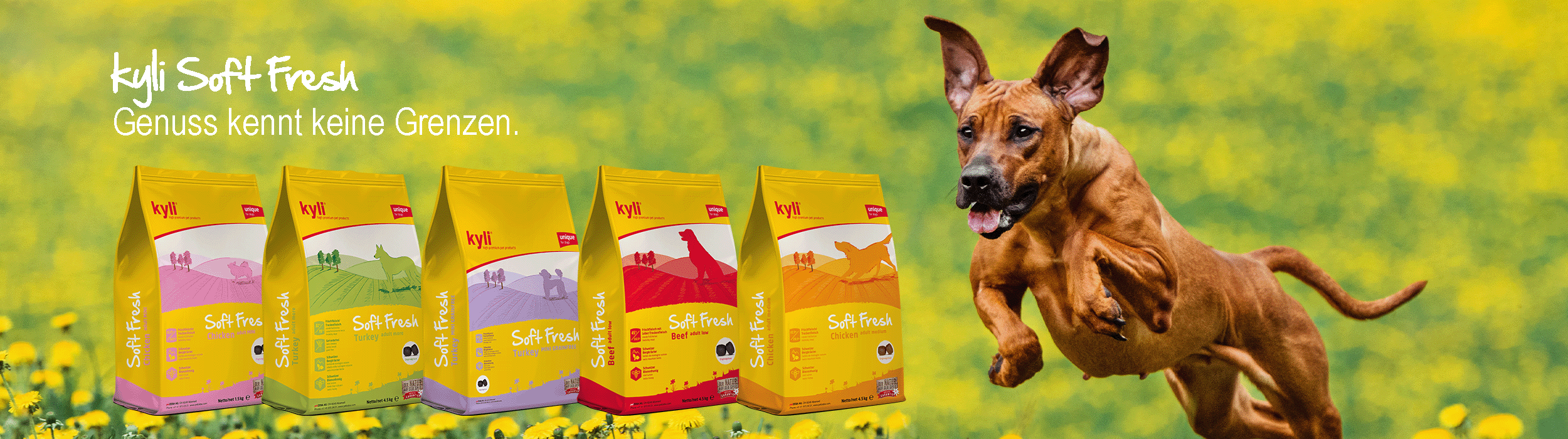 kyli Soft Fresh kyli Soft Fresh