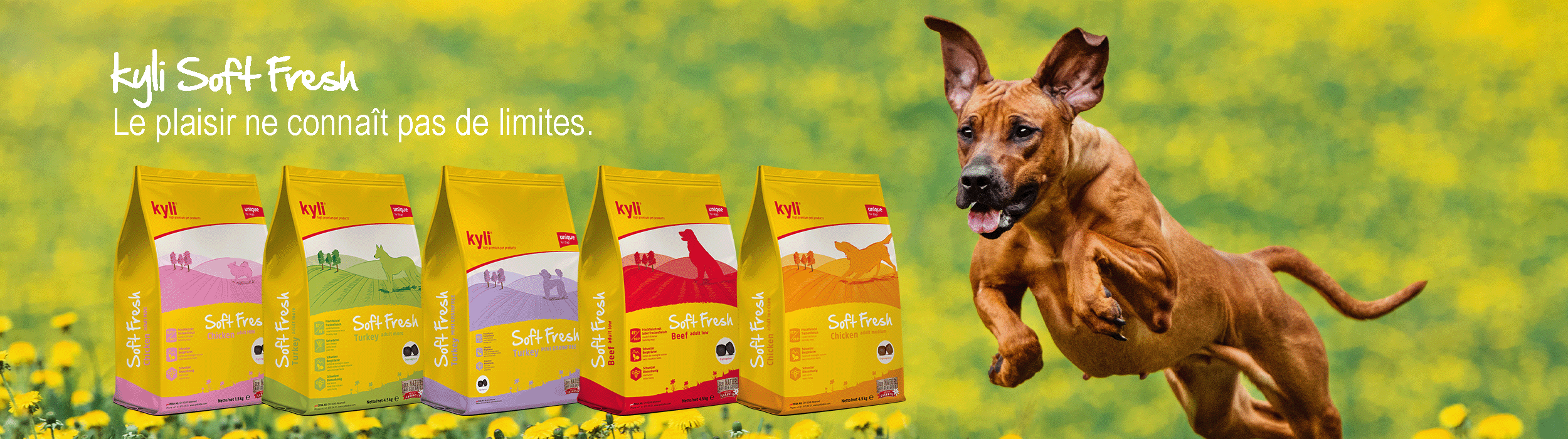 kyli Soft Fresh kyli Soft Fresh