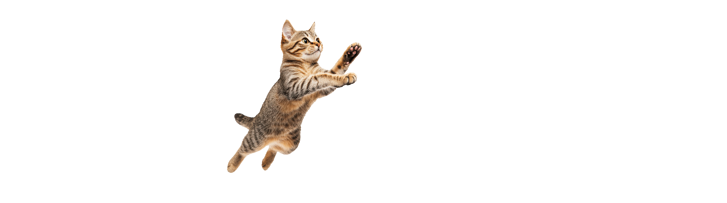 Zubehör