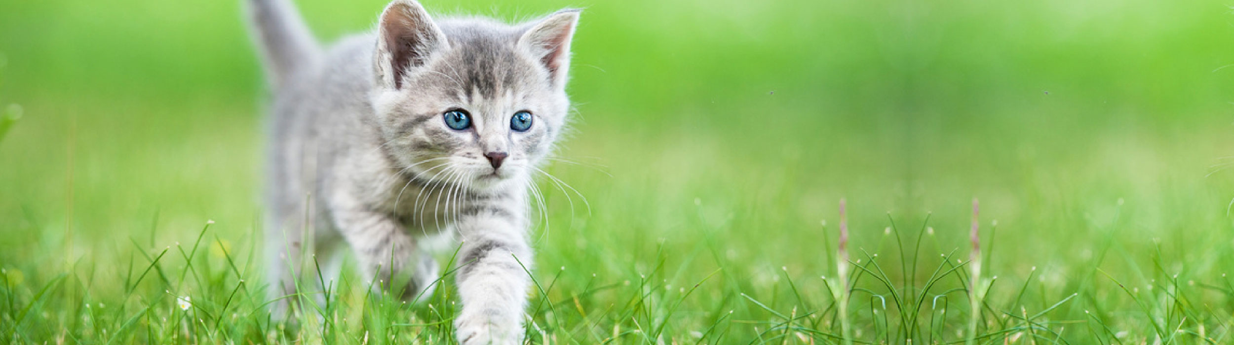 Nachhaltigkeit Nachhaltigkeit