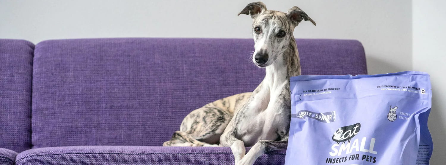 eat Small – Insects for pets