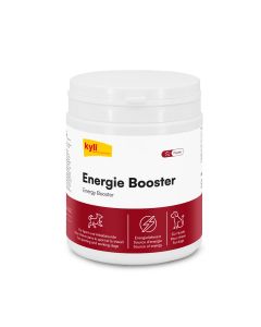 kyli Energie Booster 350 g