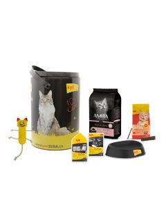 Kittenpaket Amba Baby&Mom DE&FR