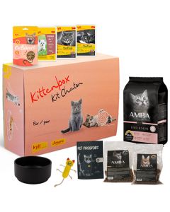 Kittenpaket kyli Amba Baby & Mom