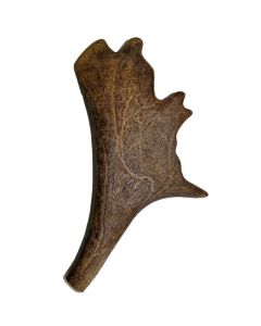 kyli Bois de cerf daims L