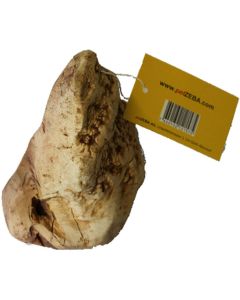 kyli chewing root