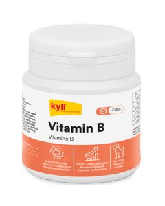 kyli Vitamine B 120 g