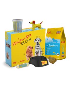 Welpenpaket kyli Junior Nr. 1 DE&FR