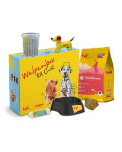 Welpenpaket kyli Junior Nr. 2 DE&FR