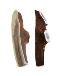 kyli Rothirschgeweih