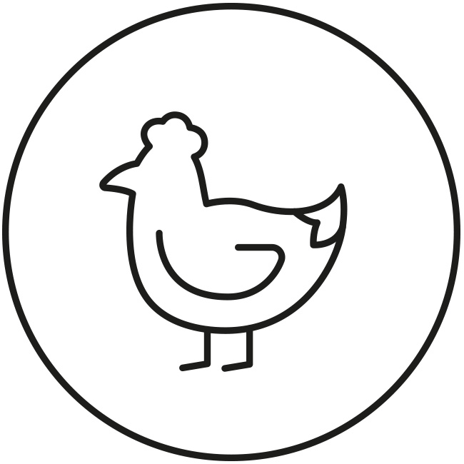 Volaille fraîche