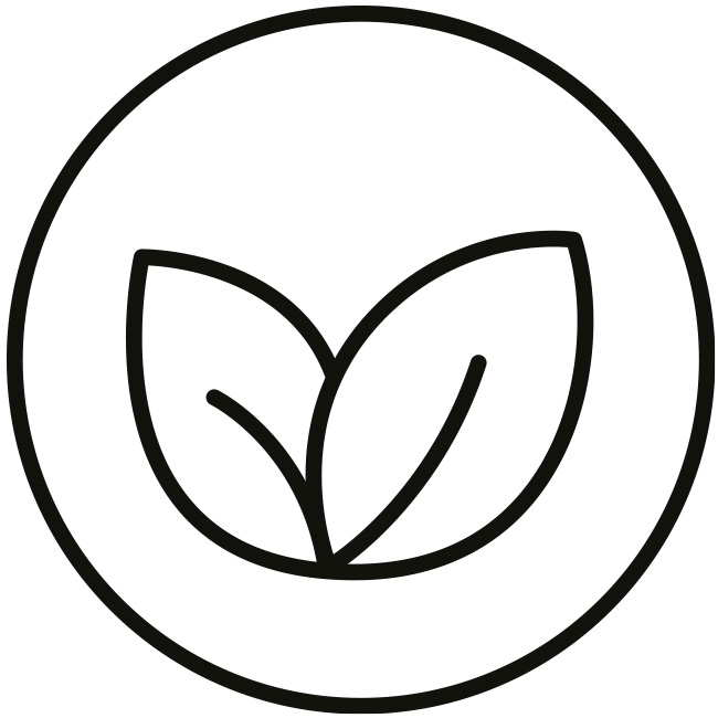 Recette végétarienne