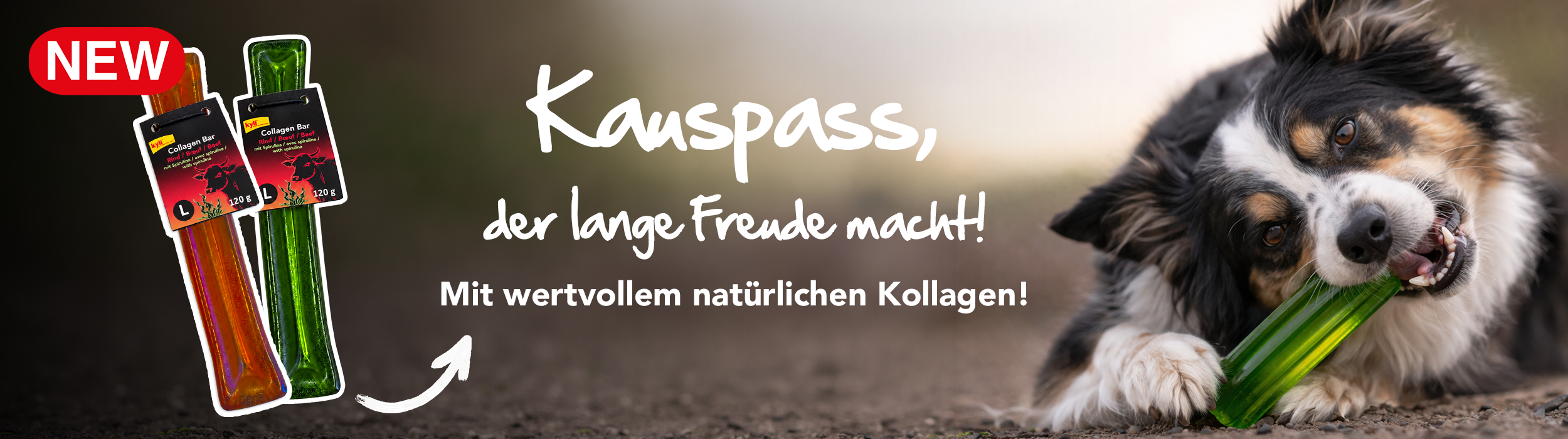 1026_Neuheiten_Collagen Bar_DE