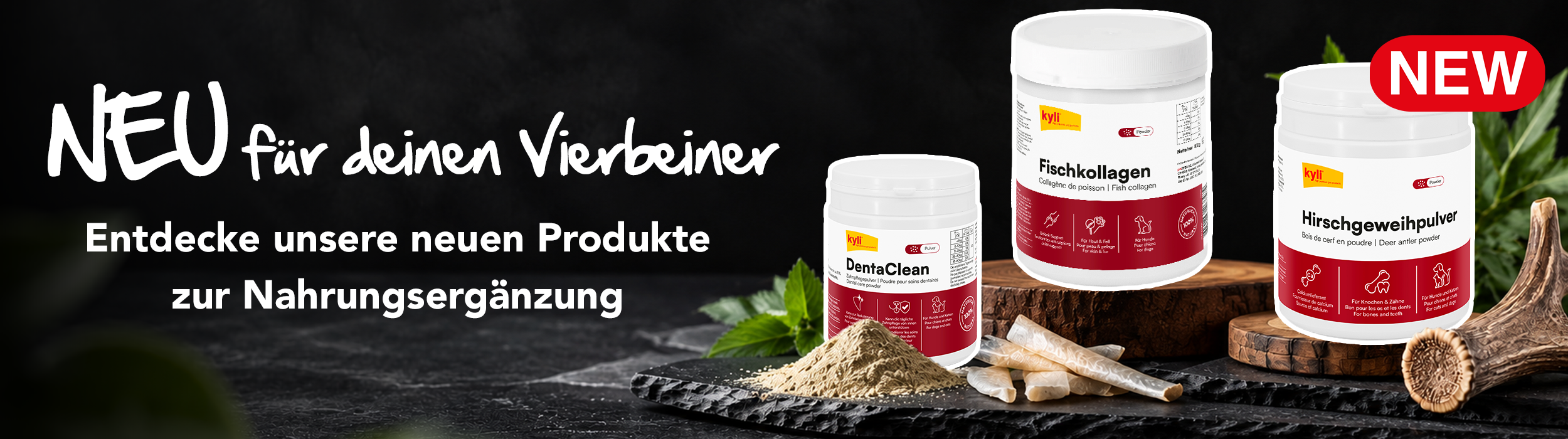 1026_Neuheiten_Wellness_DE
