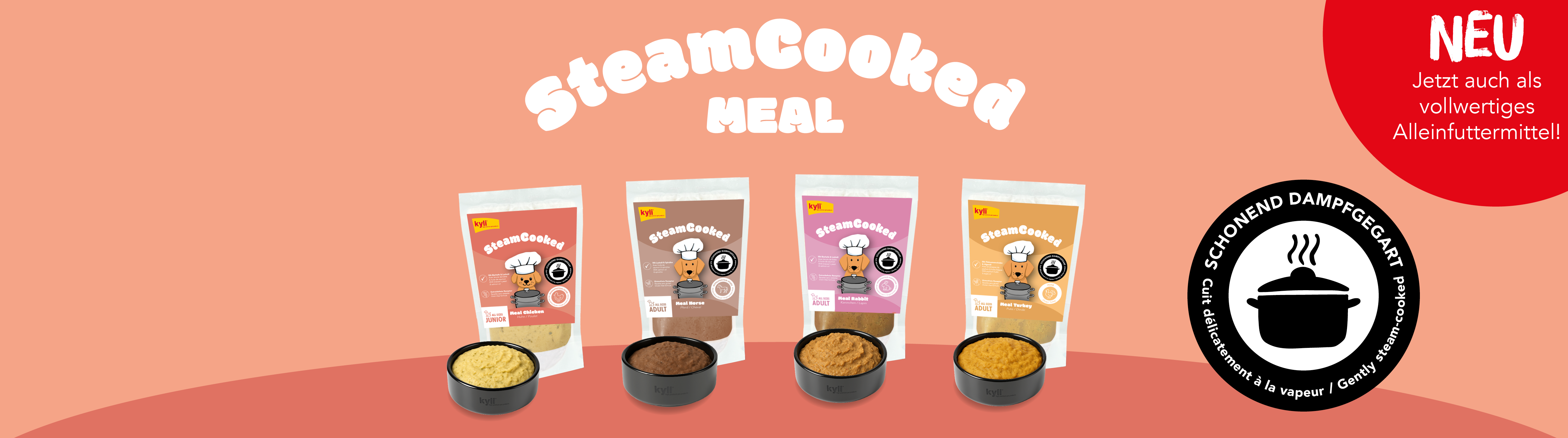 SteamCooked Meal_DE