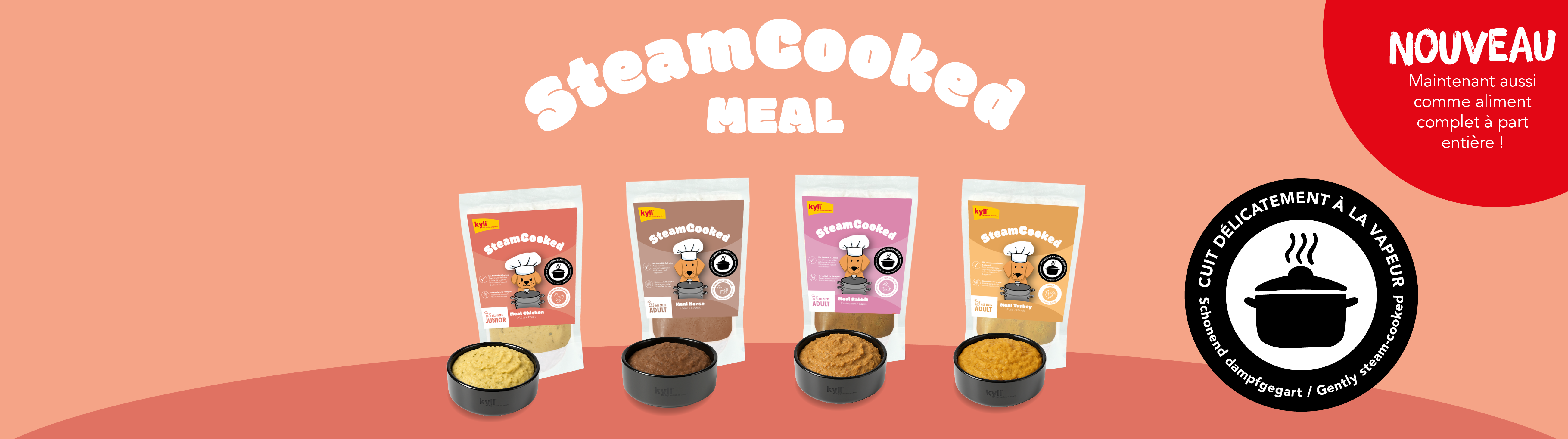 SteamCooked Meal_FR