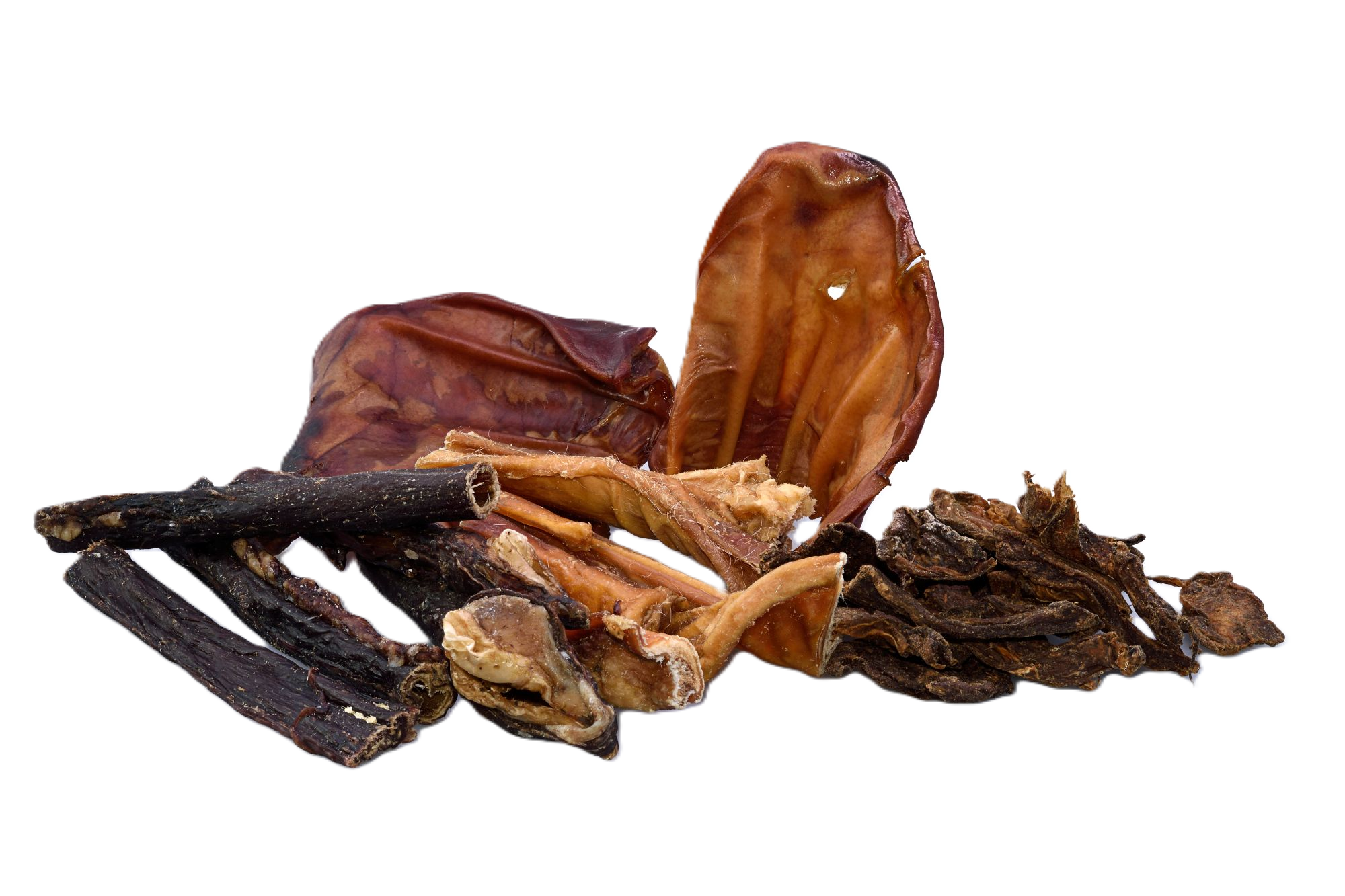 Kauartikel Hund: Gr&ouml;sse, H&auml;rte und Kauintensit&auml;t