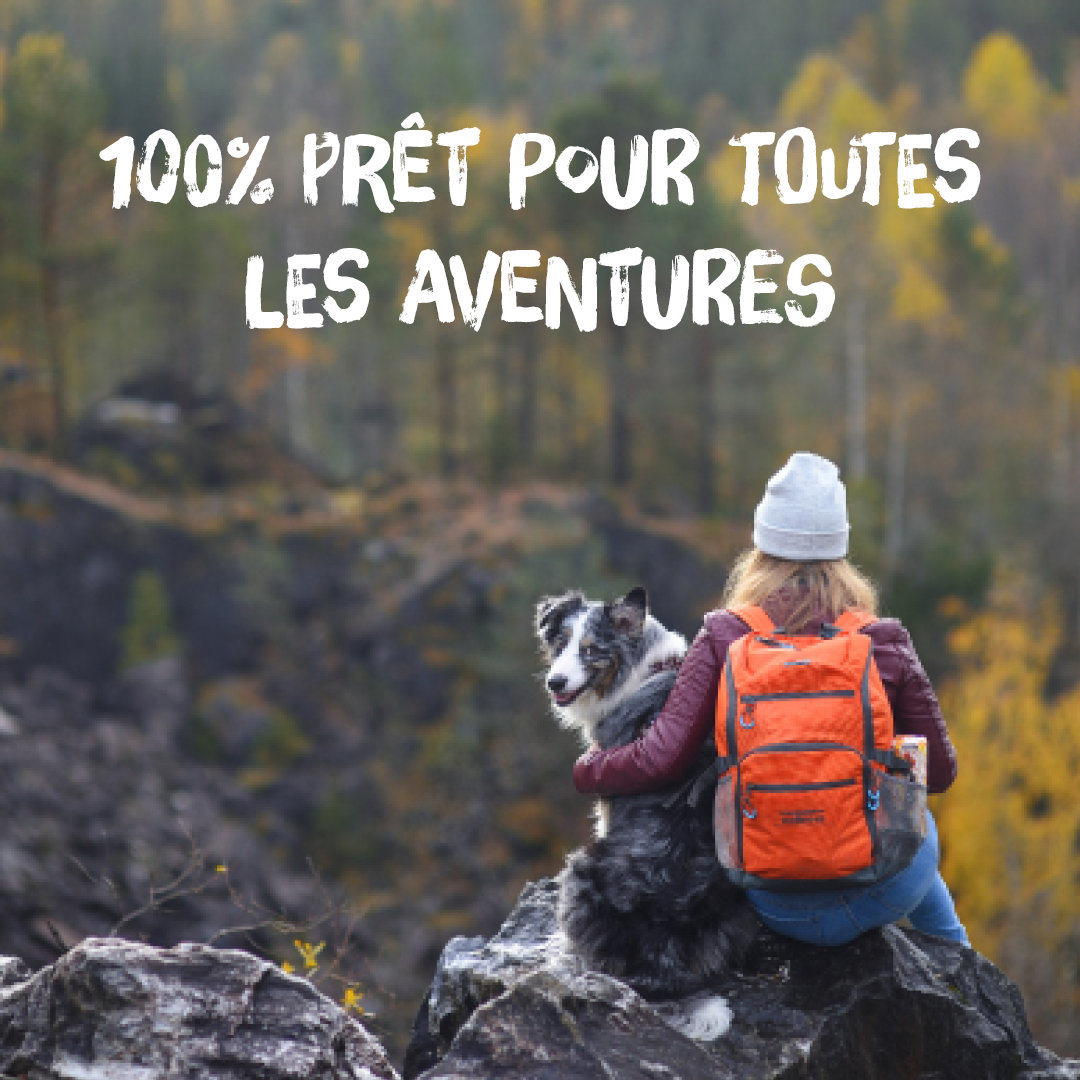 kyli Complete Menu 100% prêt pour toutes les adventures kyli Complete Menu