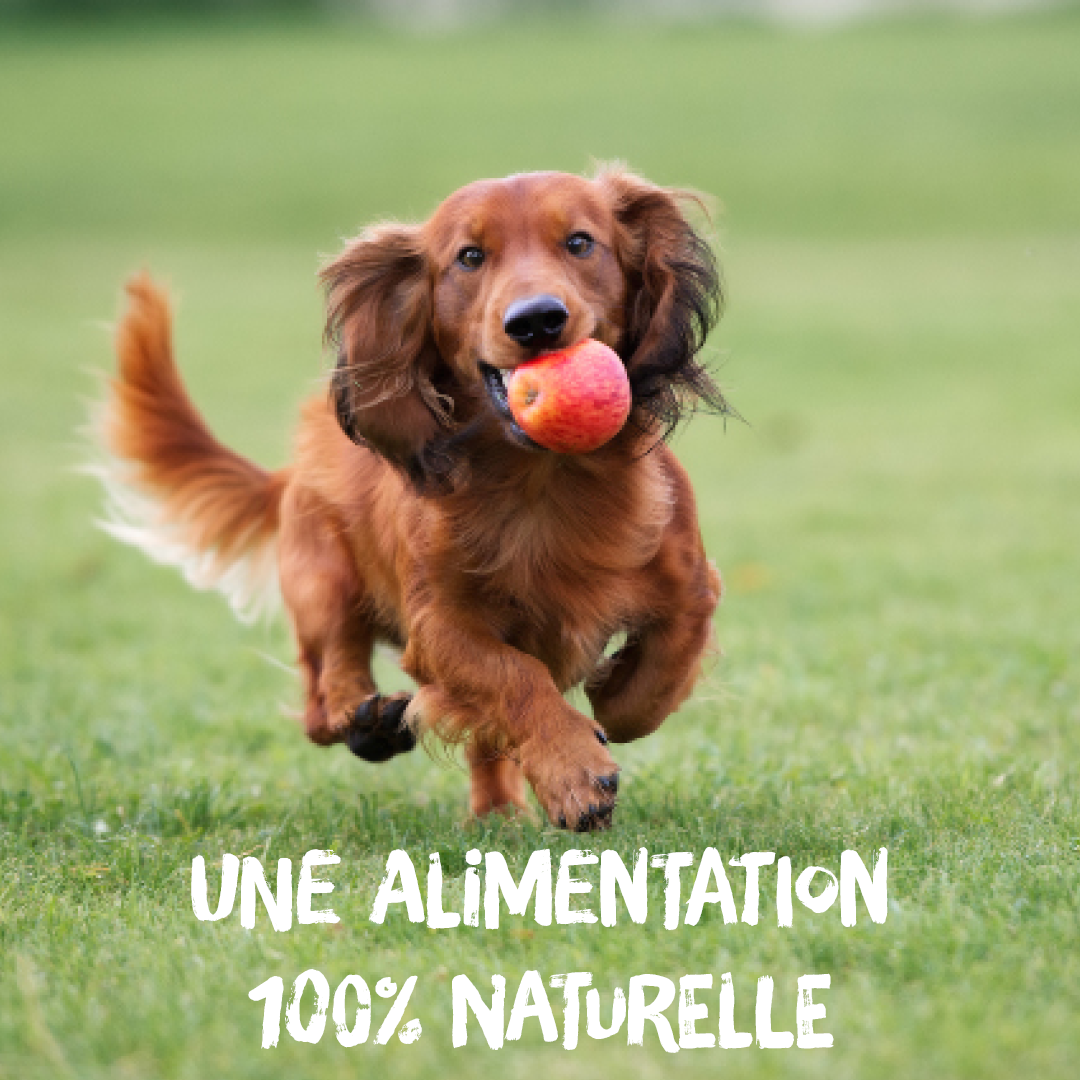 kyli Complete Menu 100% Naturelle kyli Complete Menu