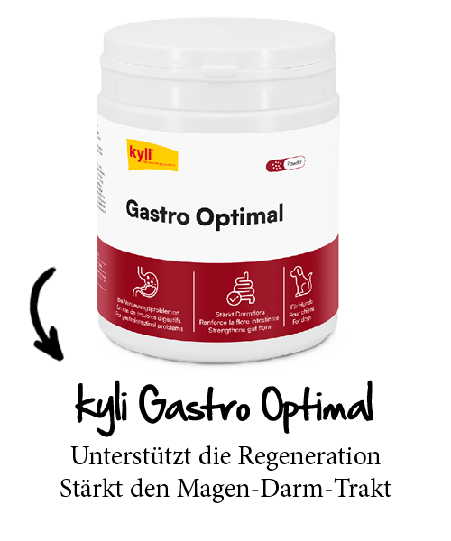 kyli Gastro Optimal kyli Gastro Optimal