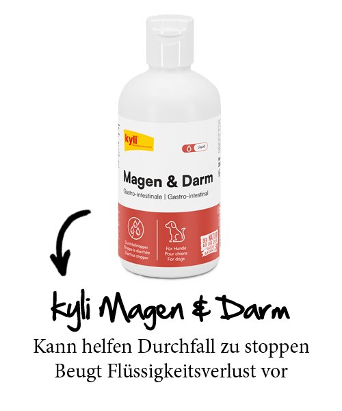 kyli Magen & Darm kyli Magen & Darm