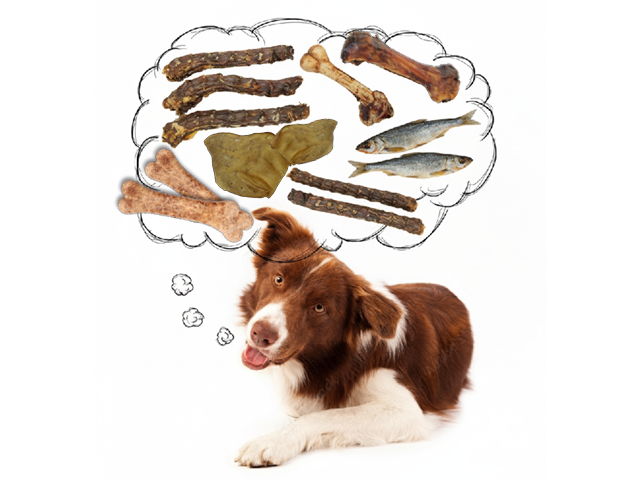 Kauartikel Hund: Proteinquelle